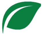 CFS Leaf CFS Leaf